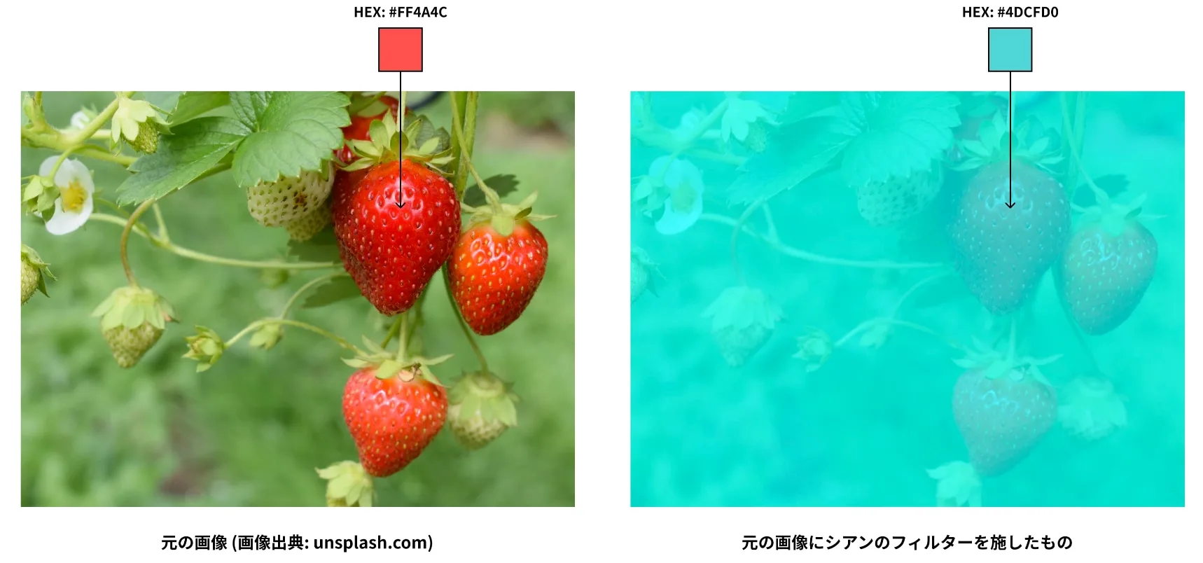 色の恒常性 のサムネイル